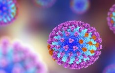 IDAI Minta Masyarakat Tak Panik Soal Hantavirus