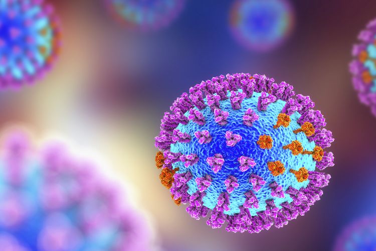 IDAI Minta Masyarakat Tak Panik Soal Hantavirus