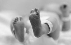 Geger! Dikira Bangkai Kucing, Tenyata Mayat Bayi Laki-laki Ditemukan di Pinggir Jalan Bogor