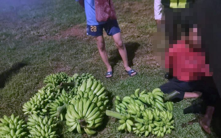Curi 5 Tandan Pisang di Cileungsi, Pedagang Tanaman Babak Belur Diamuk Massa