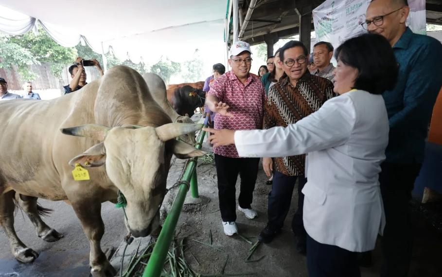 Pramono Pastikan Harga Hewan Kurban di Jakarta Stabil Jelang Iduladha 2026
