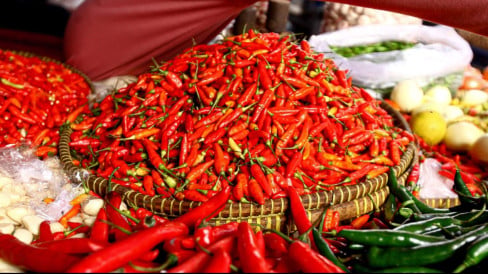 Harga Cabai di Jakarta Tembus Rp 80 Ribu per Kg, Curah Hujan hingga Iduladha Jadi Pemicu