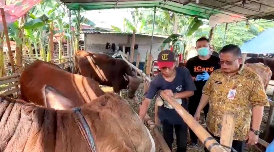 Sudin KPKP Jaksel Perketat Pengawasan Hewan Kurban, 163 Petugas Diterjunkan