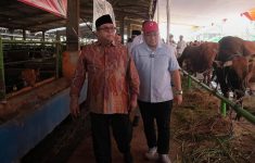 Hampir 68 Ribu Hewan Kurban Masuk Jakarta, Pemprov DKI Pastikan Pemeriksaan Ketat