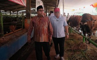 Hampir 68 Ribu Hewan Kurban Masuk Jakarta, Pemprov DKI Pastikan Pemeriksaan Ketat