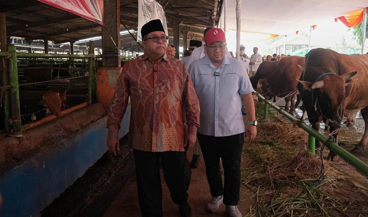 Hampir 68 Ribu Hewan Kurban Masuk Jakarta, Pemprov DKI Pastikan Pemeriksaan Ketat