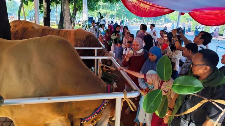 Masjid Istiqlal Terima Puluhan Hewan Kurban, Ada Sumbangan dari Gereja Katerdal