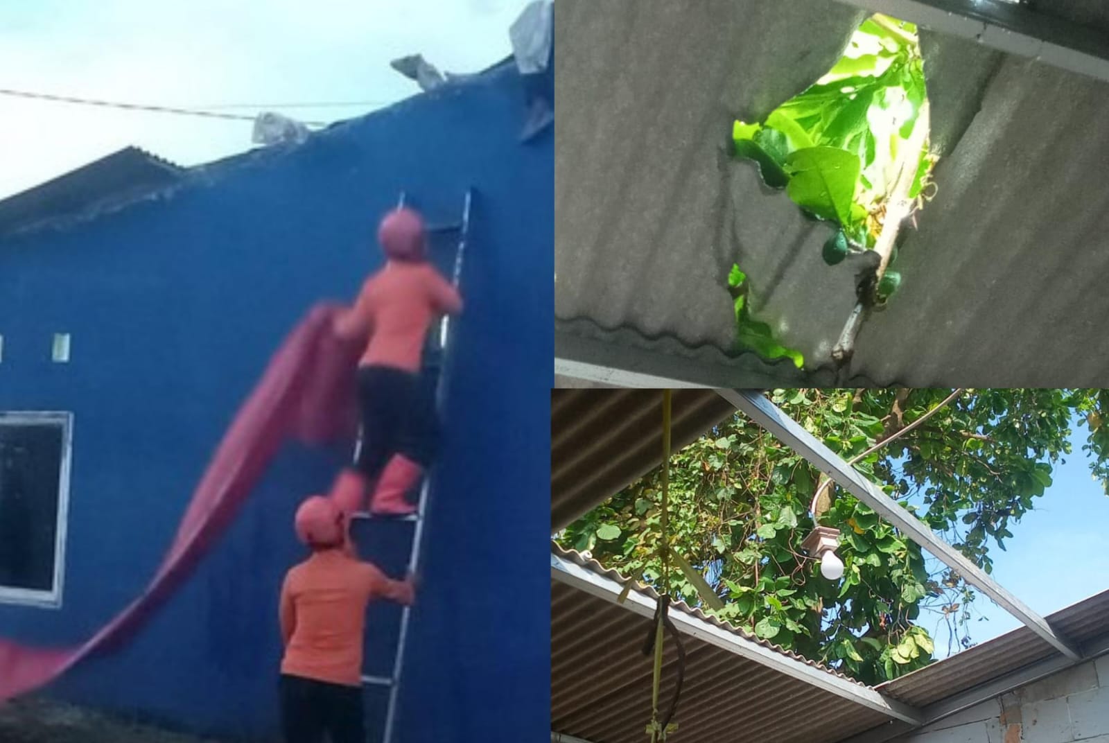 Warga Ceritakan Detik-detik Hujan Deras dan Angin Kencang di Bogor, Beberapa Rumah Rusak