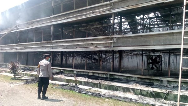 Kebakaran Kandang Ayam di Ciseeng Bogor Rugikan Rp 15 Miliar, 150 Ribu Ayam Hangus Terbakar