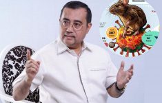 DPR Minta Warga Tak Panik Soal Hantavirus di Jakarta, Ini Cara Pencegahannya!