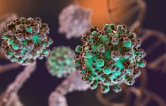 4 Kasus Hantavirus Ditemukan di Jakarta