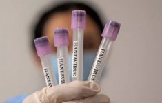 Kasus Hantavirus Ditemukan di Jawa Timur