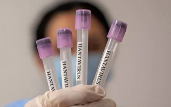 Kasus Hantavirus Ditemukan di Jawa Timur