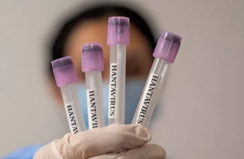 Kasus Hantavirus Ditemukan di Jawa Timur