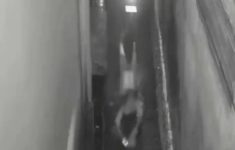 Mahasiswi Unpad Diduga Dilindas Pemotor Misterius di Jatinangor