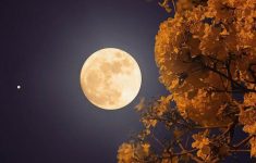 Fenomena Flower Moon 2 Mei 2026 Hiasi Langit Indonesia