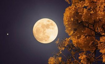 Fenomena Flower Moon 2 Mei 2026 Hiasi Langit Indonesia