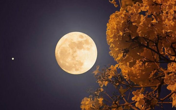 Fenomena Flower Moon 2 Mei 2026 Hiasi Langit Indonesia