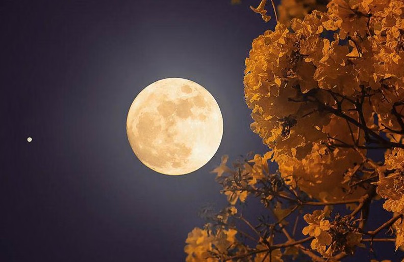Fenomena Flower Moon 2 Mei 2026 Hiasi Langit Indonesia