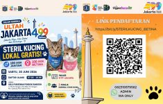 Steril Kucing Lokal Gratis Sambut HUT ke-499 Jakarta