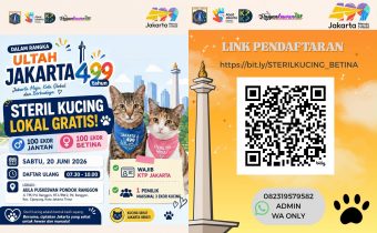 Steril Kucing Lokal Gratis Sambut HUT ke-499 Jakarta