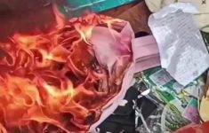 Kecewa Anak Hamil Saat Masih Sekolah, Ayah di NTB Bakar Ijazah Sekolah