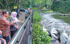 Hore! Transportasi Umum dan Tempat Wisata di Jakarta Gratis Selama 3 Hari, Berlaku Seluruh KTP RI