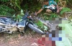 Heboh! Pria di Maluku Utara Tewas Diduga Diserang dan Ditelan Ular Piton Raksasa