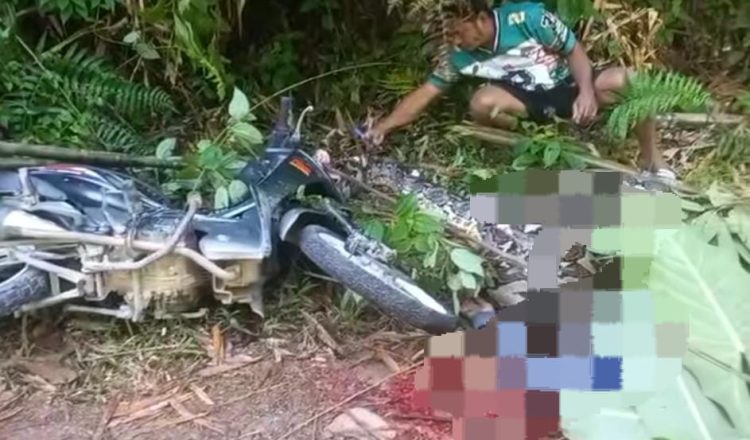 Heboh! Pria di Maluku Utara Tewas Diduga Diserang dan Ditelan Ular Piton Raksasa