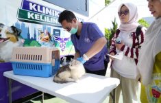 Jakarta Hadirkan Mobil Klinik Hewan Keliling