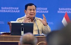 Prabowo: Konsolidasi BUMN Sudah Pangkas 250 Entitas