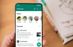 Pedagang Pindah ke WhatsApp atau Website Pribadi Tetap Wajib Bayar Pajak, Ini Kata DJP