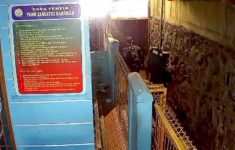 Aksi Tiga Pencuri Baterai Tower di Bogor Terekam CCTV, Polisi Lakukan Penyelidikan