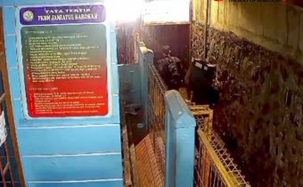 Aksi Tiga Pencuri Baterai Tower di Bogor Terekam CCTV, Polisi Lakukan Penyelidikan