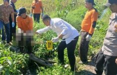 Geger! Jasad Bayi Ditemukan Mengapung di Irigasi Sawah Malang, Polisi Selidiki Pelaku Pembuangan