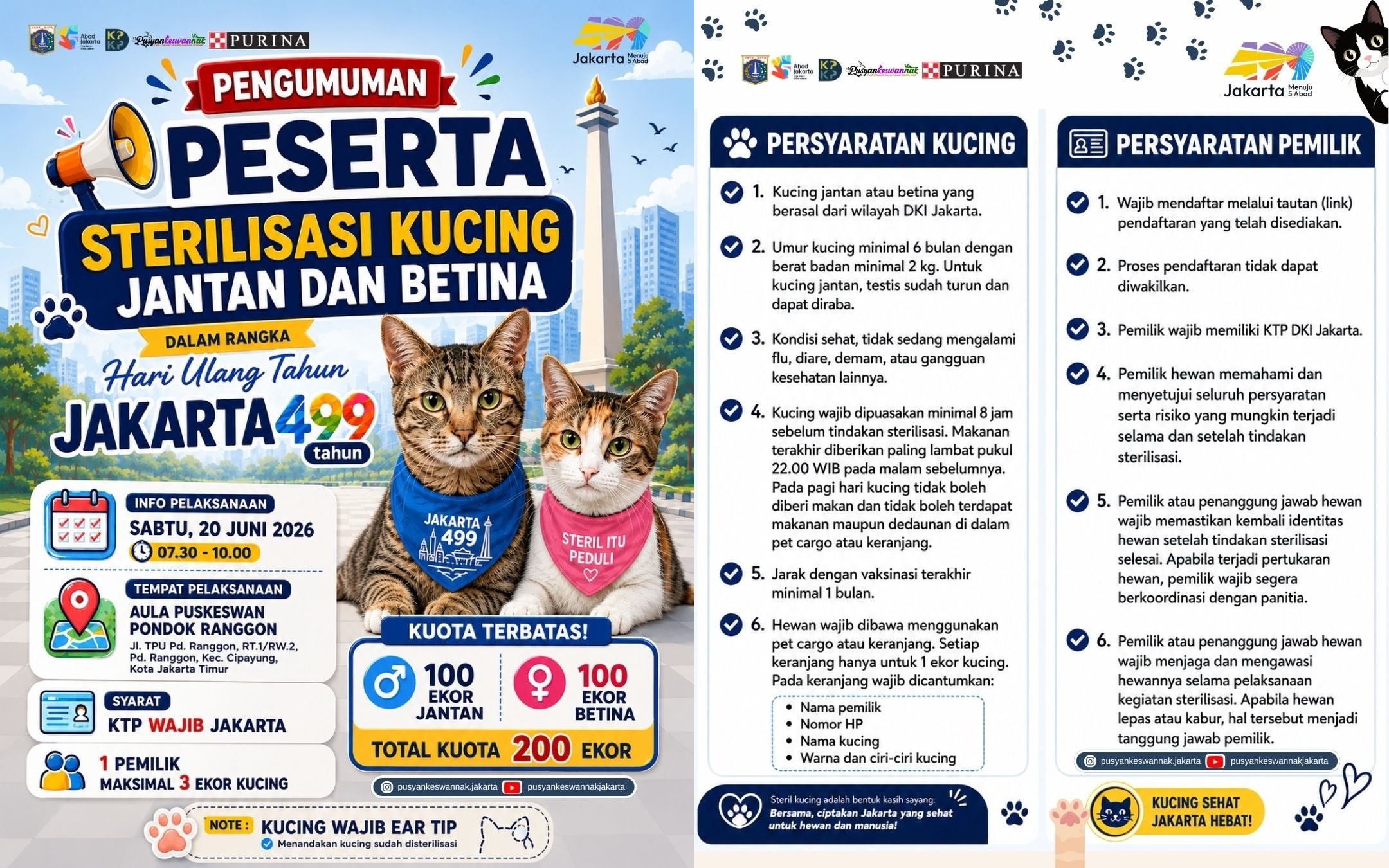 Pemprov DKI Gelar Sterilisasi Kucing Gratis