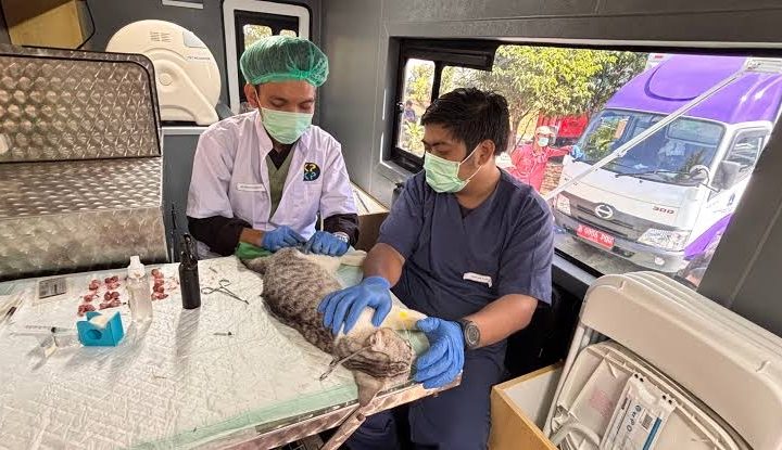 Daftar Tarif Mobil Klinik Hewan Keliling Jakarta 2026