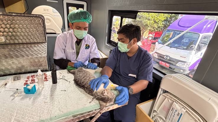 Daftar Tarif Mobil Klinik Hewan Keliling Jakarta 2026