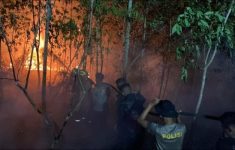 Karhutla Kalimantan Makin Meluas