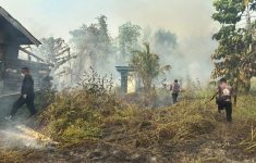 Karhutla Papua Barat Capai 2.496 Hektare