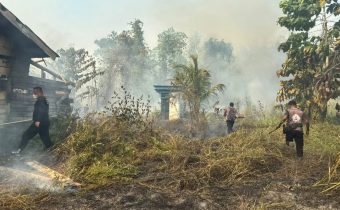 Karhutla Papua Barat Capai 2.496 Hektare