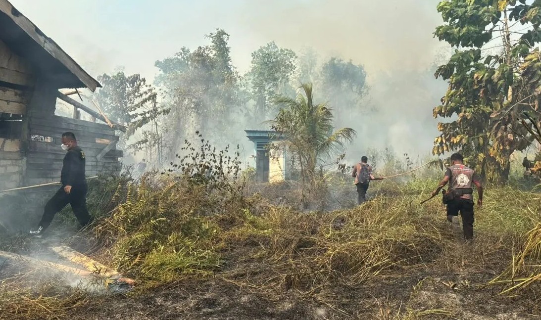 Karhutla Papua Barat Capai 2.496 Hektare