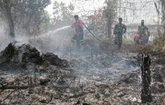 Kemenhut Sanksi Enam Perusahaan Terkait Karhutla di Kalimantan