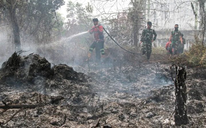 Kemenhut Sanksi Enam Perusahaan Terkait Karhutla di Kalimantan