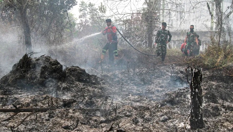 Kemenhut Sanksi Enam Perusahaan Terkait Karhutla di Kalimantan