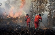 Karhutla Kalimantan: Izin 6 Korporasi Diproses untuk Dicabut
