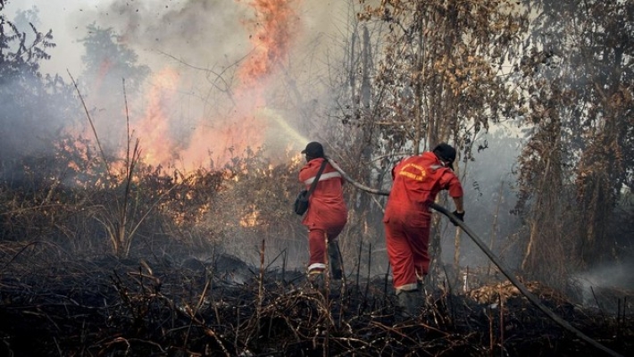 Karhutla Kalimantan: Izin 6 Korporasi Diproses untuk Dicabut