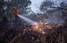 19 Perusahaan Diduga Jadi Biang Karhutla
