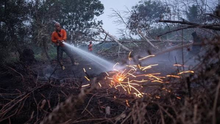19 Perusahaan Diduga Jadi Biang Karhutla