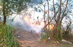 Karhutla Merembet ke Kawasan Ijen